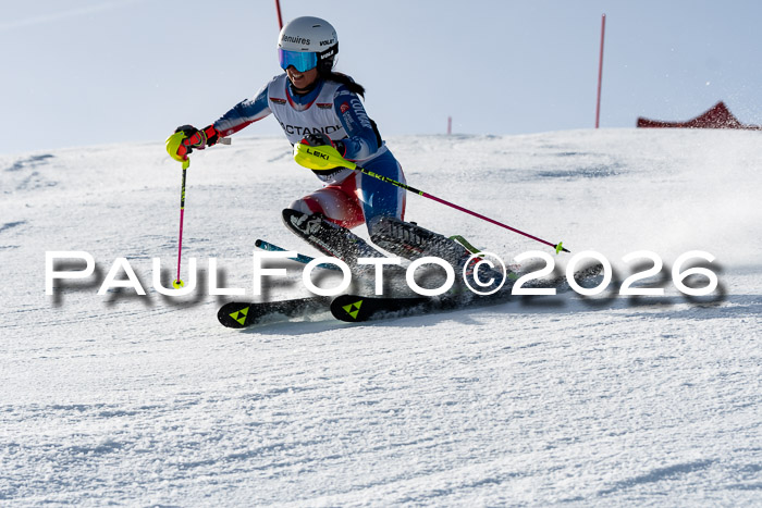 FIS Slalom  Damen + NJC FIS Herren 08.03.2026