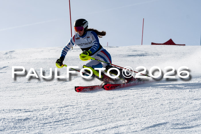 FIS Slalom  Damen + NJC FIS Herren 08.03.2026