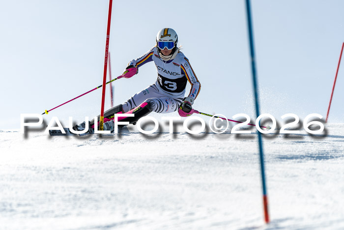 FIS Slalom  Damen + NJC FIS Herren 08.03.2026