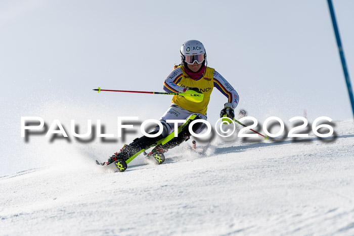 FIS Slalom  Damen + NJC FIS Herren 08.03.2026