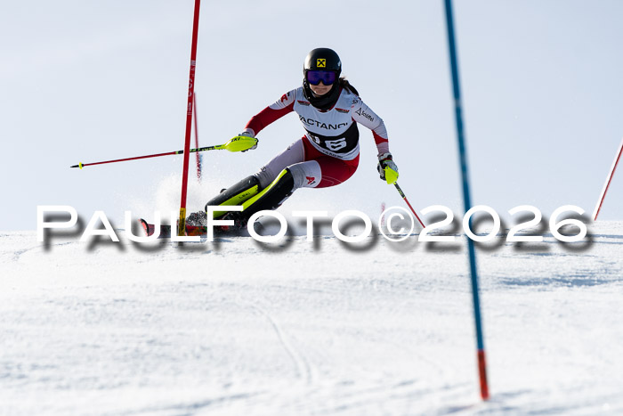 FIS Slalom  Damen + NJC FIS Herren 08.03.2026