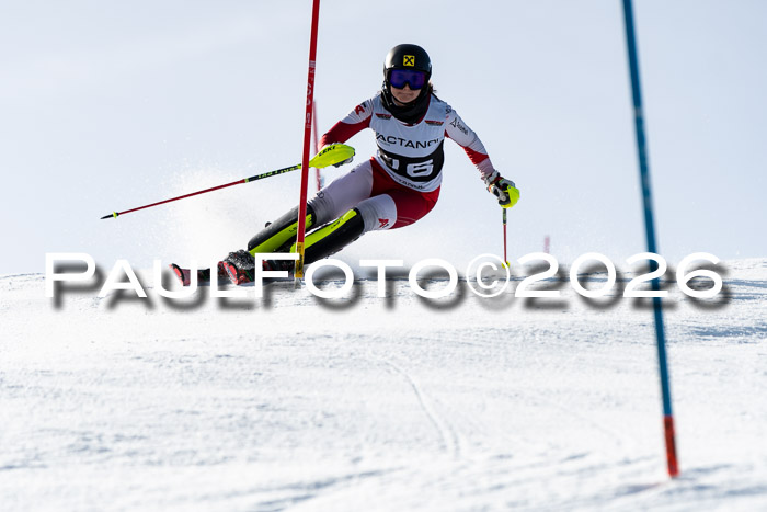 FIS Slalom  Damen + NJC FIS Herren 08.03.2026