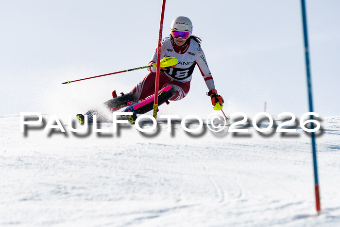 FIS Slalom  Damen + NJC FIS Herren 08.03.2026