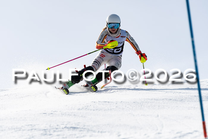 FIS Slalom  Damen + NJC FIS Herren 08.03.2026