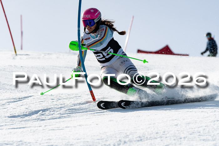 FIS Slalom  Damen + NJC FIS Herren 08.03.2026