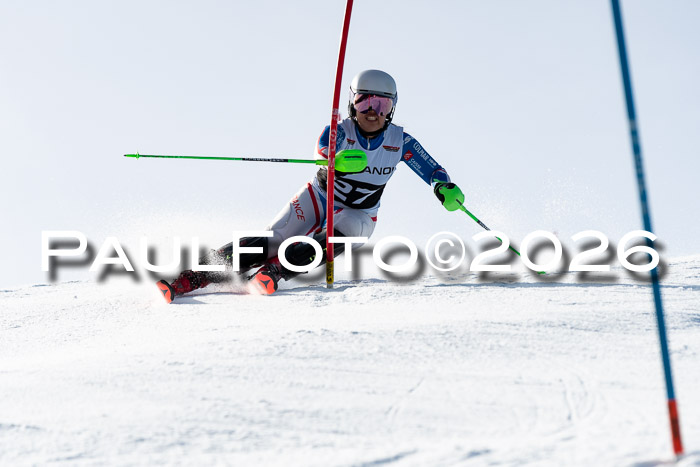 FIS Slalom  Damen + NJC FIS Herren 08.03.2026