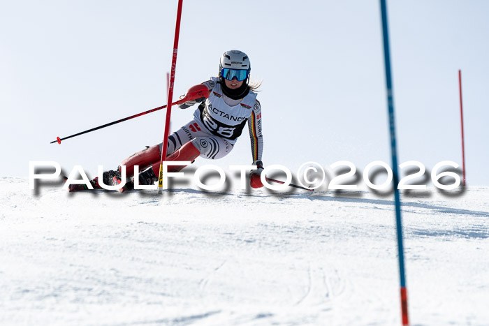 FIS Slalom  Damen + NJC FIS Herren 08.03.2026