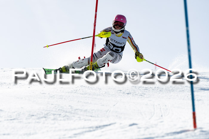 FIS Slalom  Damen + NJC FIS Herren 08.03.2026