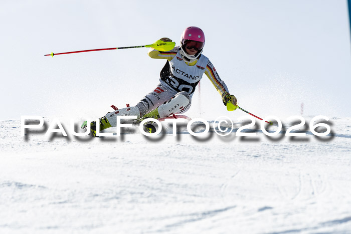 FIS Slalom  Damen + NJC FIS Herren 08.03.2026