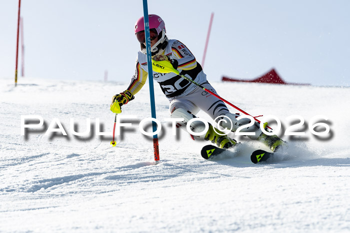 FIS Slalom  Damen + NJC FIS Herren 08.03.2026