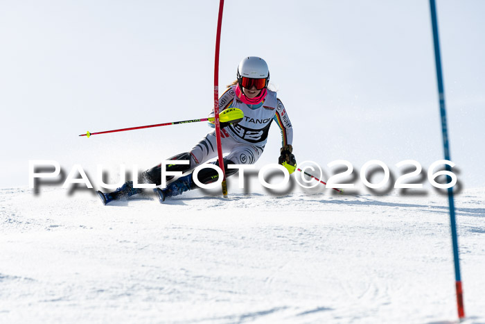 FIS Slalom  Damen + NJC FIS Herren 08.03.2026
