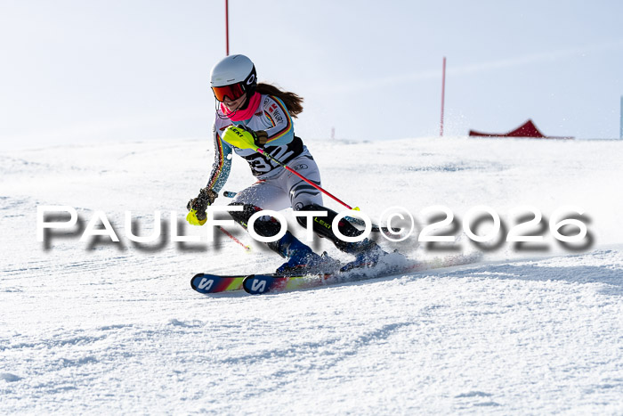 FIS Slalom  Damen + NJC FIS Herren 08.03.2026