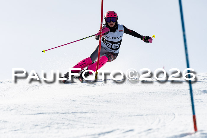 FIS Slalom  Damen + NJC FIS Herren 08.03.2026