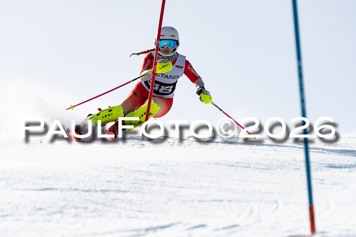 FIS Slalom  Damen + NJC FIS Herren 08.03.2026