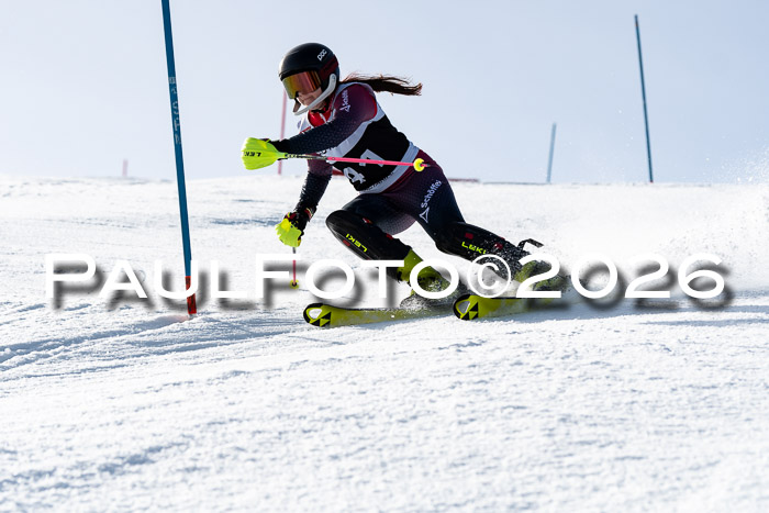 FIS Slalom  Damen + NJC FIS Herren 08.03.2026