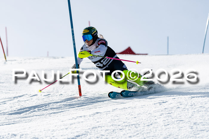 FIS Slalom  Damen + NJC FIS Herren 08.03.2026