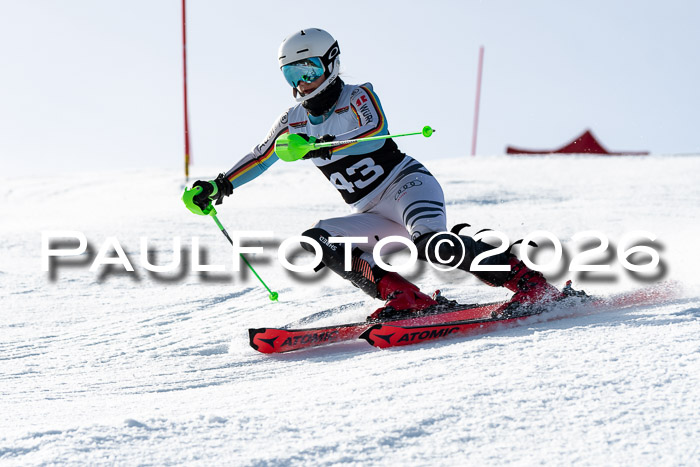 FIS Slalom  Damen + NJC FIS Herren 08.03.2026