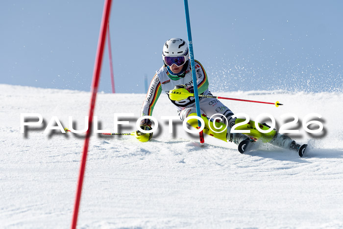 FIS Slalom  Damen + NJC FIS Herren 08.03.2026