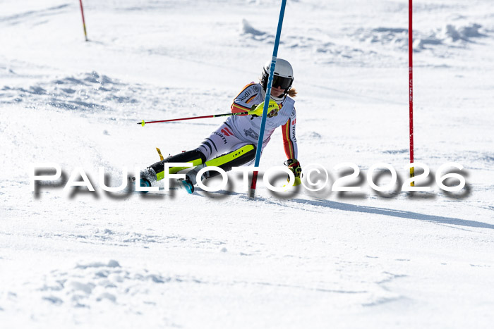 FIS Slalom  Damen + NJC FIS Herren 08.03.2026
