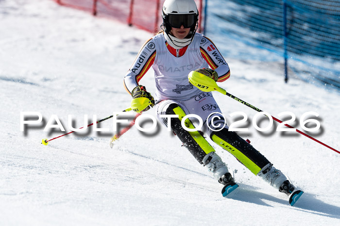 FIS Slalom  Damen + NJC FIS Herren 08.03.2026