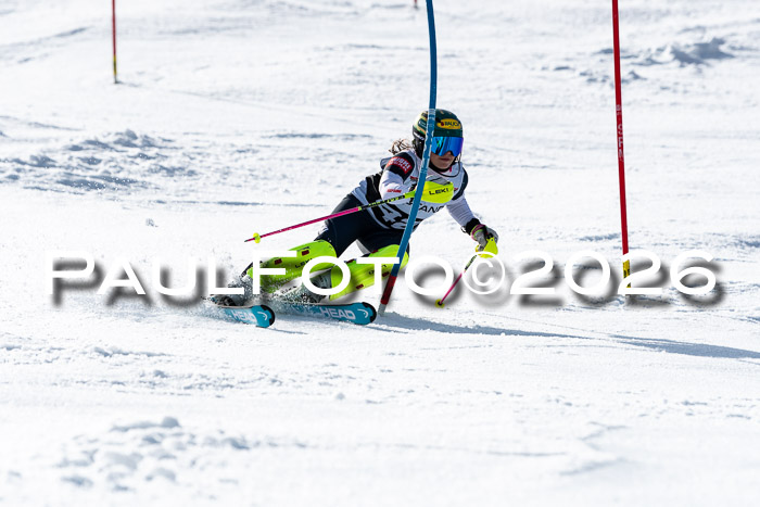 FIS Slalom  Damen + NJC FIS Herren 08.03.2026