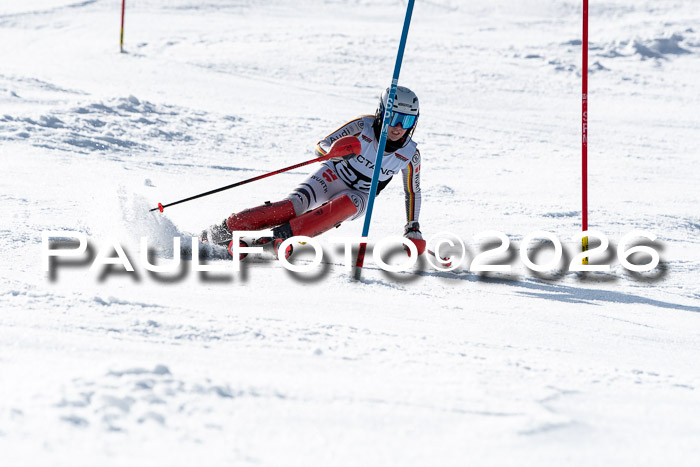 FIS Slalom  Damen + NJC FIS Herren 08.03.2026