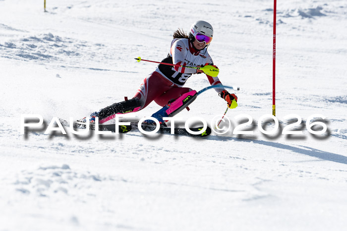 FIS Slalom  Damen + NJC FIS Herren 08.03.2026