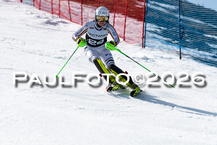 FIS Slalom  Damen + NJC FIS Herren 08.03.2026