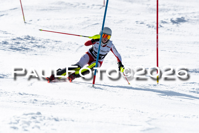 FIS Slalom  Damen + NJC FIS Herren 08.03.2026