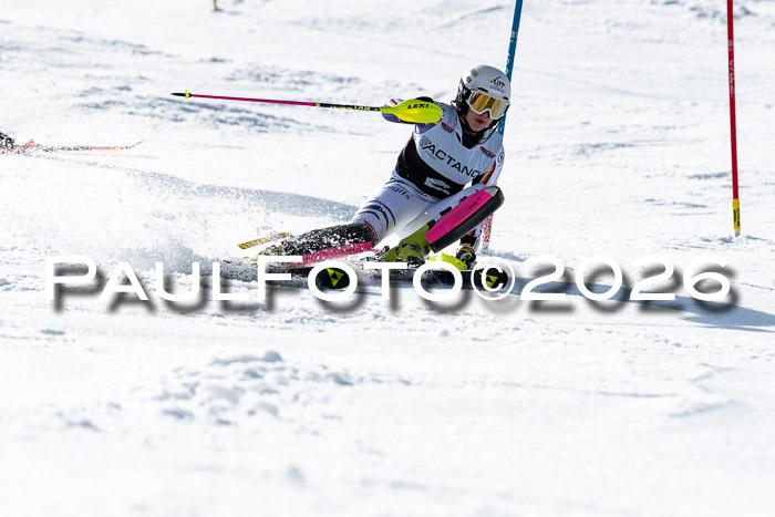 FIS Slalom  Damen + NJC FIS Herren 08.03.2026