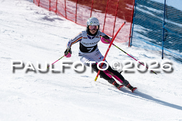 FIS Slalom  Damen + NJC FIS Herren 08.03.2026