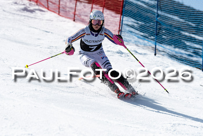 FIS Slalom  Damen + NJC FIS Herren 08.03.2026