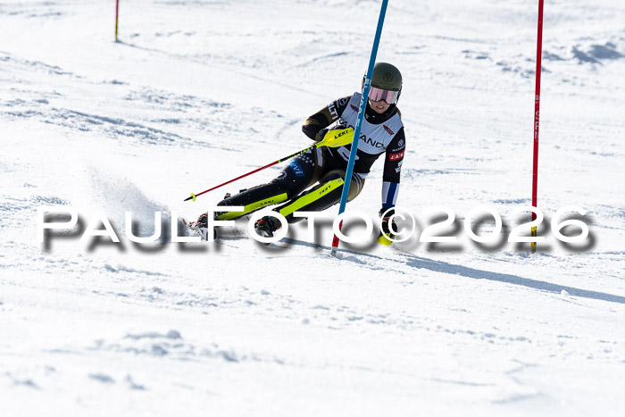 FIS Slalom  Damen + NJC FIS Herren 08.03.2026