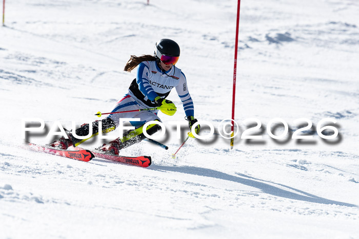 FIS Slalom  Damen + NJC FIS Herren 08.03.2026
