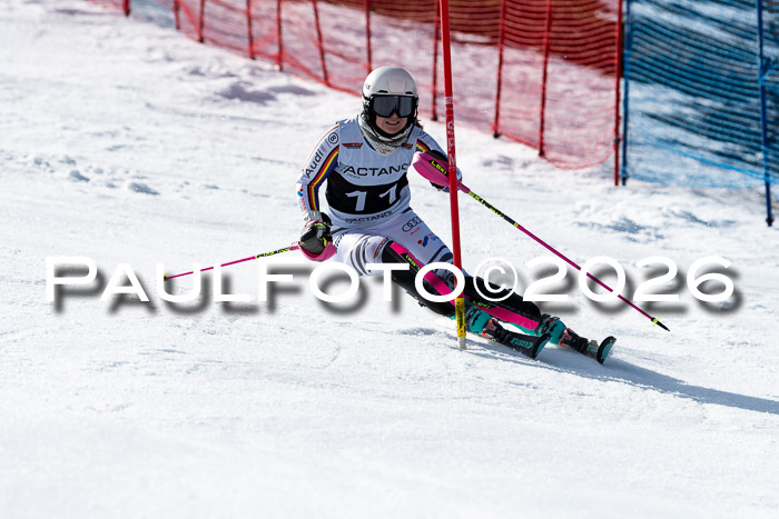 FIS Slalom  Damen + NJC FIS Herren 08.03.2026