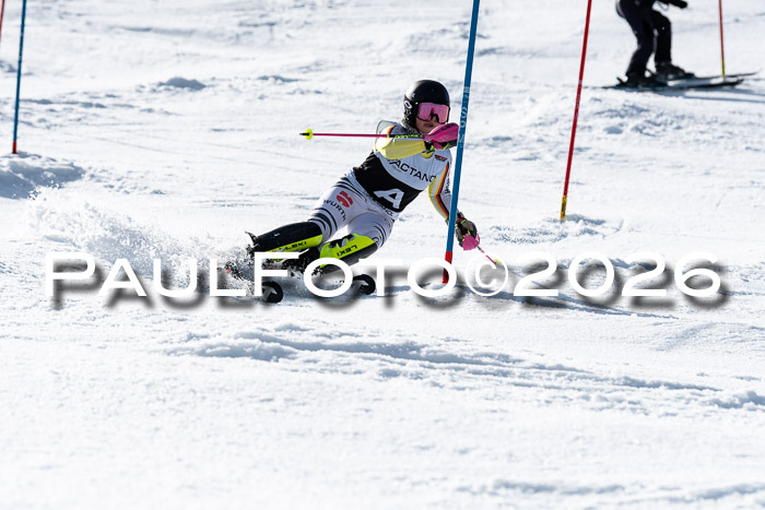 FIS Slalom  Damen + NJC FIS Herren 08.03.2026