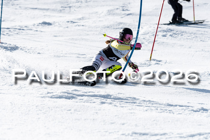 FIS Slalom  Damen + NJC FIS Herren 08.03.2026