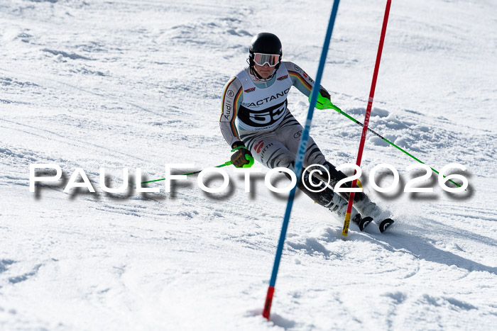 FIS Slalom  Damen + NJC FIS Herren 08.03.2026