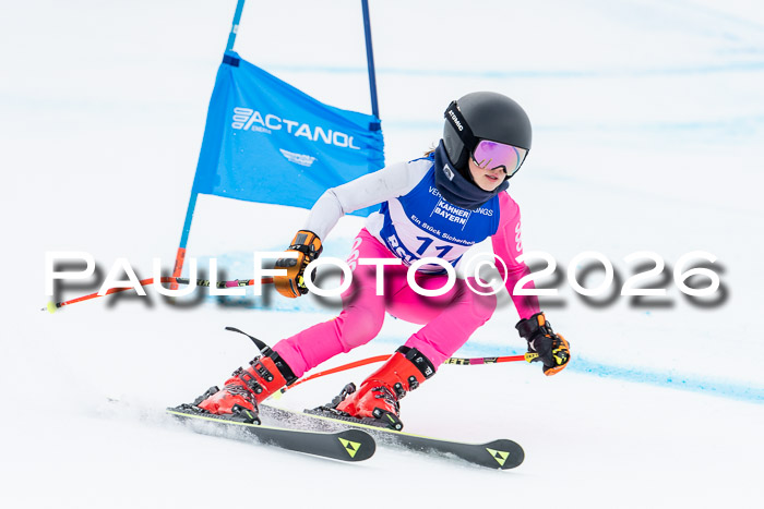 BSV Skiliga Bayern Schüler Finale RS  2026