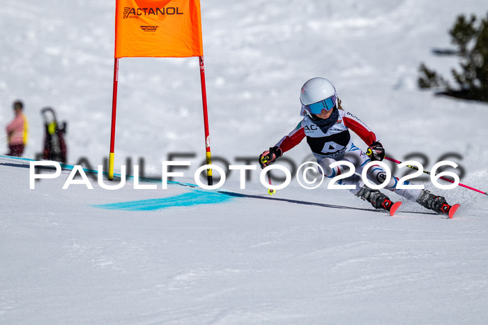 DSV - Actanol Deutscher Schülercup U12 Finale RSX 2026