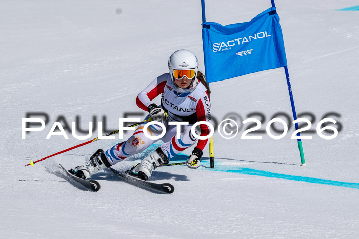 DSV - Actanol Deutscher Schülercup U12 Finale RSX 2026