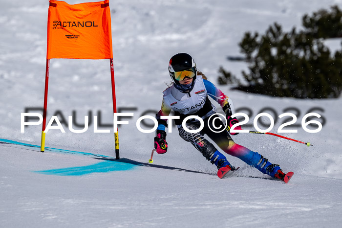 DSV - Actanol Deutscher Schülercup U12 Finale RSX 2026