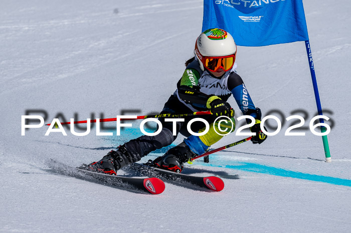 DSV - Actanol Deutscher Schülercup U12 Finale RSX 2026