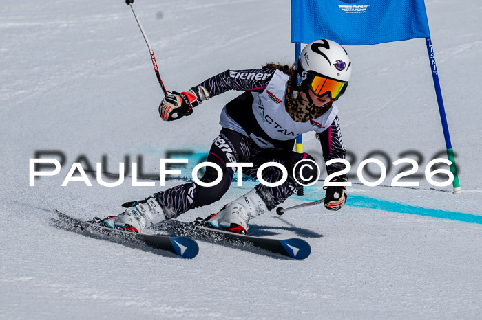 DSV - Actanol Deutscher Schülercup U12 Finale RSX 2026