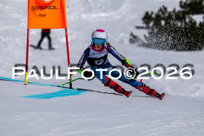 DSV - Actanol Deutscher Schülercup U12 Finale RSX 2026