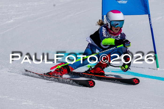 DSV - Actanol Deutscher Schülercup U12 Finale RSX 2026