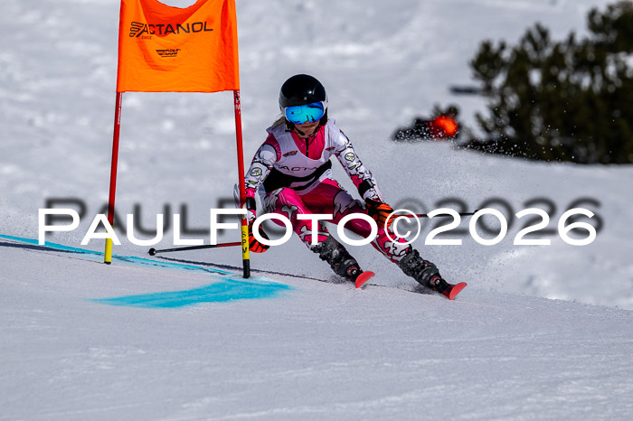 DSV - Actanol Deutscher Schülercup U12 Finale RSX 2026