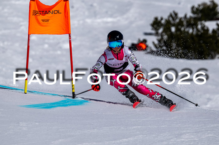 DSV - Actanol Deutscher Schülercup U12 Finale RSX 2026