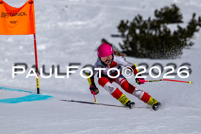 DSV - Actanol Deutscher Schülercup U12 Finale RSX 2026