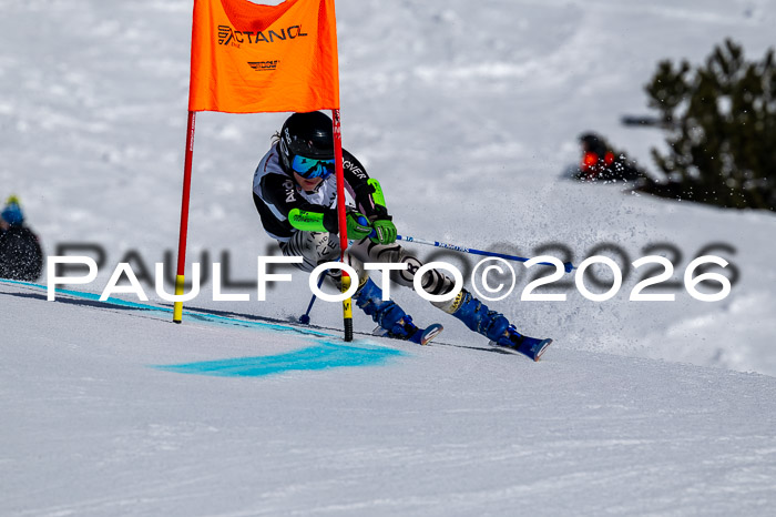 DSV - Actanol Deutscher Schülercup U12 Finale RSX 2026